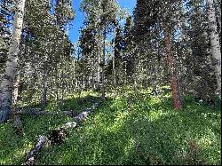 Lot 23 Elk Ridge Road, Angel Fire NM 97710