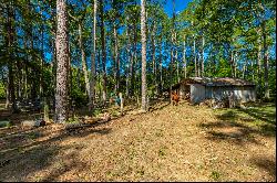 Tom Hunt Road, Chickamauga GA 30707