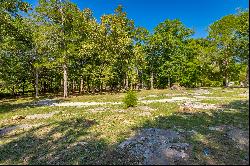 Tom Hunt Road, Chickamauga GA 30707