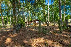 Tom Hunt Road, Chickamauga GA 30707