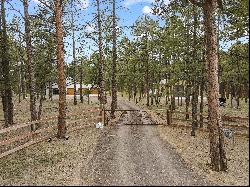 Masterfully remodeled sanctuary in the pines on 6 acres in Black Forest