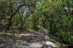 850 Bluff Ridge Court, New Braunfels TX 78132