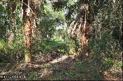 Fleming Grant Road, Micco FL 32976