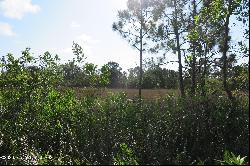 Fleming Grant Road, Micco FL 32976