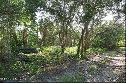 Fleming Grant Road, Micco FL 32976