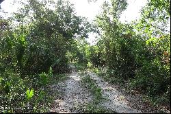 Fleming Grant Road, Micco FL 32976