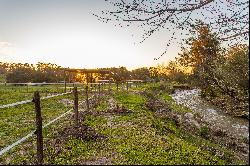 Lifestyle and Equestrian Farm in the Cape Winelands