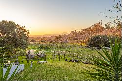 Lifestyle and Equestrian Farm in the Cape Winelands