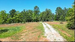 TBD County Road 2203, Arp TX 75750