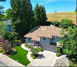 1403 STONEHEDGE DRIVE, Pleasant Hill CA 94523