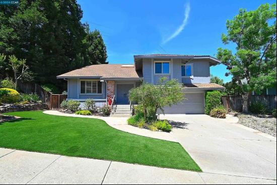 1403 STONEHEDGE DRIVE, Pleasant Hill CA 94523