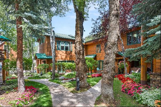 950 East Durant Avenue, Aspen, CO 81611