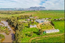 Hospitality Farm in the Cape Winelands