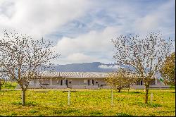 Hospitality Farm in the Cape Winelands