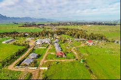 Hospitality Farm in the Cape Winelands