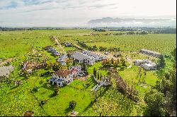 Hospitality Farm in the Cape Winelands