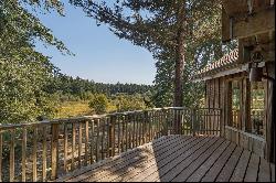 Storybook Woodland Cabin