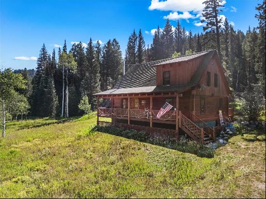 29030 Owl Drive, Clark, CO 80428