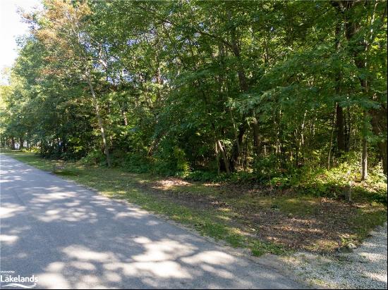 Wasaga Beach Land