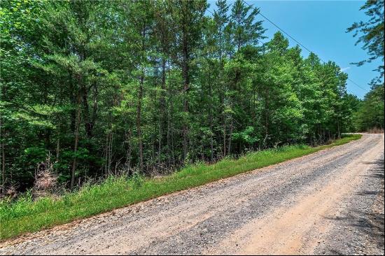 Mineral Bluff Land