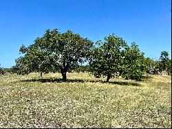 300+/- Acres Gillespie County, Trescientos Ranch, Harper, TX 78631