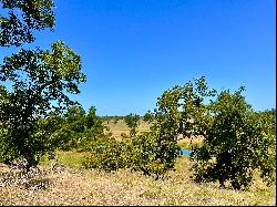 300+/- Acres Gillespie County, Trescientos Ranch, Harper, TX 78631