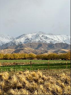 Land in Tupungato, Mendoza