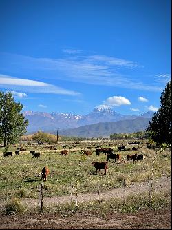 Land in Tupungato, Mendoza