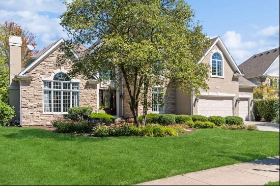 2528 Saddlebrook Drive, Naperville, IL, 60564, USA