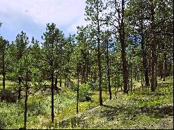 40 Acres in Black Forest!