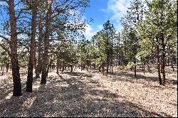 40 Acres in Black Forest!