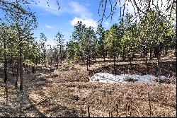 40 Acres in Black Forest!