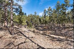 40 Acres in Black Forest!