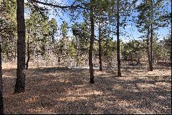 40 Acres in Black Forest!