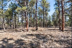 40 Acres in Black Forest!