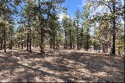 40 Acres in Black Forest!