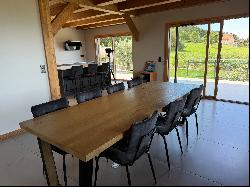 PROCHE VIAN : A PUBLIER Chalet recent avec vue lac