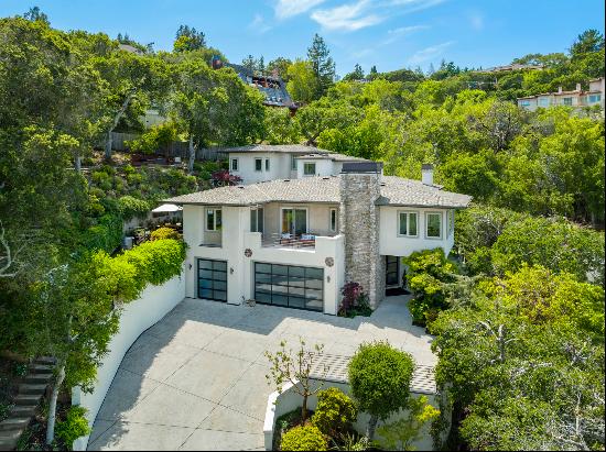 Gorgeous Contemporary in Emerald Hills