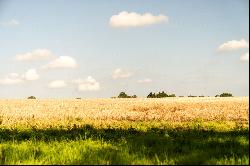 Courtyard Barn, Abbey Farm, Alby, Norwich, NR11 7HG