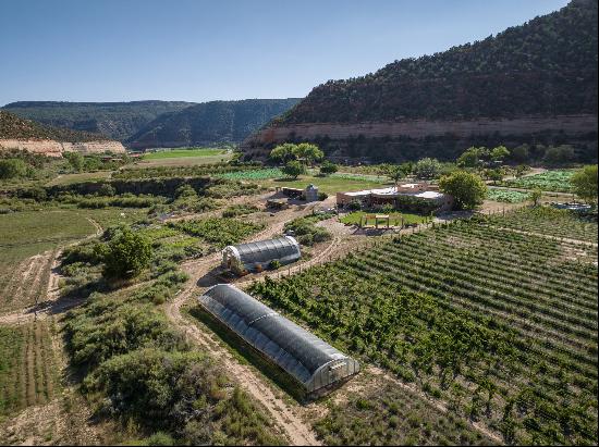 Southwestern Paradise Amidst Vineyards and Creek Frontage