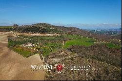 RUSTIC RESTORED FARMHOUSE WITH OLIVE GROVE FOR SALE IN UMBRIA