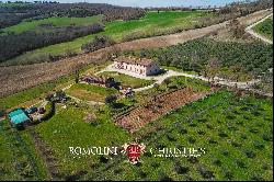 RUSTIC RESTORED FARMHOUSE WITH OLIVE GROVE FOR SALE IN UMBRIA