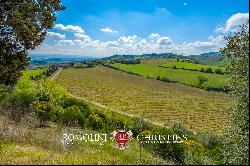 240 HECTARES ESTATE WITH AGRITURISMO AND WINERY FOR SALE, SAN GIMIGNANO, SIENA, TUSCANY, 