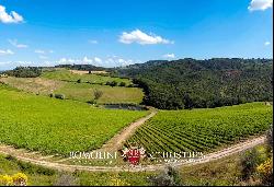 240 HECTARES ESTATE WITH AGRITURISMO AND WINERY FOR SALE, SAN GIMIGNANO, SIENA, TUSCANY, 