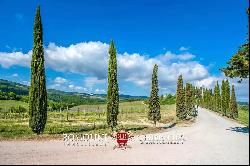 240 HECTARES ESTATE WITH AGRITURISMO AND WINERY FOR SALE, SAN GIMIGNANO, SIENA, TUSCANY, 