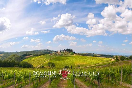 240 HECTARES ESTATE WITH AGRITURISMO AND WINERY FOR SALE, SAN GIMIGNANO, SIENA, TUSCANY, 