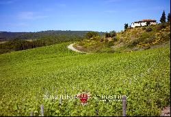 240 HECTARES ESTATE WITH AGRITURISMO AND WINERY FOR SALE, SAN GIMIGNANO, SIENA, TUSCANY, 