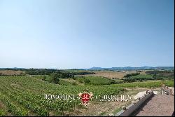 Lake Trasimeno - WINERY WITH CHARMING MANSION AND RESTAURANT FOR SALE IN UMBRIA