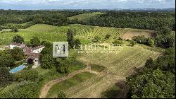 Exclusive sale: completely renovated former cognac estate near Angouleme.