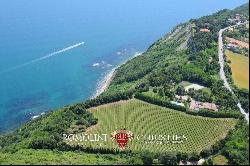 VILLA SEA VIEW WITH VINEYARD FOR SALE IN LE MARCHE